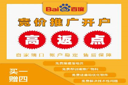 某电商企业如何通过百度竞价广告提升销售额