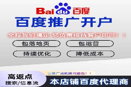 百度包年竞价策略调整与效果评估案例